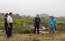 三明建宁县通过实施土地整理项目 窄地变宽田流金又淌银