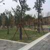 福州首个串珠公园22日起开园 占地面积约9000平方米