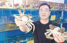 首批阳澄湖大闸蟹“打飞的”抵厦 部分蟹商不敢涨价