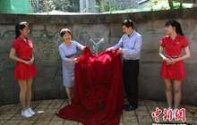东南大学师生80年后再走“西迁路” 重庆立西迁“光华柱”