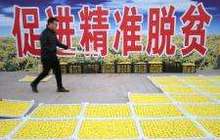 国家乡村振兴战略规划将出台