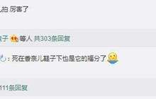 陈乔恩拿大牌鞋拍蟑螂 女明星有的是天价的美鞋