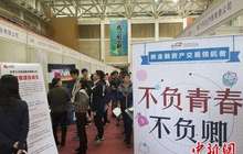 就业还是创业？820万高校毕业生的“选择题”