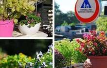 北京最美春天 去露台玻璃房享受阳光和美味