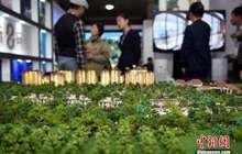 本地刚需“望楼兴叹” 环京楼市调控措施尚需细化