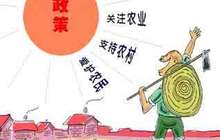 资本弥补历史欠账 企业和基层干部成土地流转接盘手