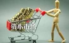 证监会：专业化监管 推进资本市场稳定健康发展