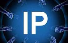 IP有泡沫但不能将其全盘否定