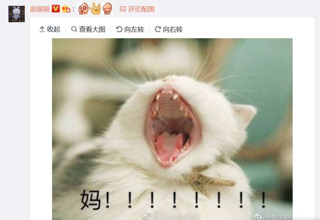 赵丽颖表情包“回击”