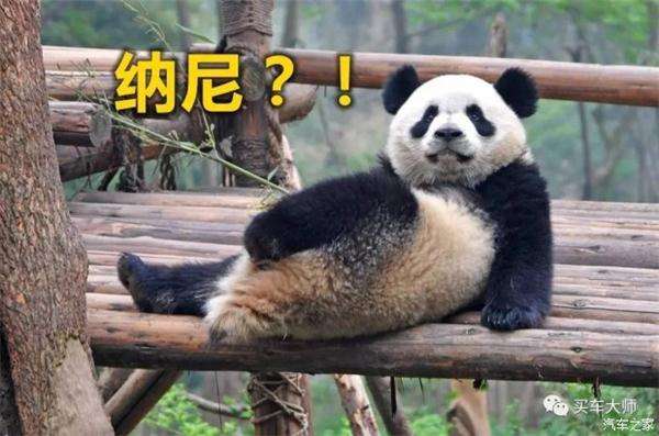 ,汽车轻量化,轻量化材料竹子