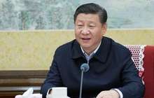 习近平：深刻感悟和把握马克思主义真理力量