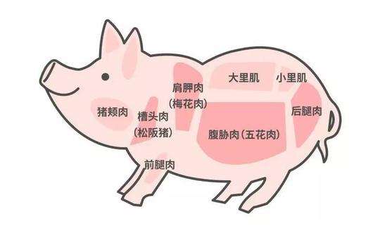 肉