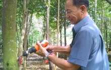 越南一男子养殖蚂蚁，靠着收集蚂蚁产生的液体，获得财富