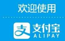支付宝2017全民账单：全国5.2亿用户移动支付占比82%