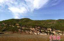 陕西铜川发现罕见2.5亿年前远古生物陆地活动遗迹