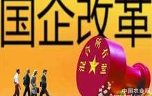 未来五年上海地方国企每年计划增量投资8000亿元左右