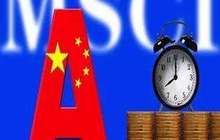 MSCI首席执行官：未来可能纳入195只中盘股
