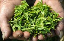 央视揭开茶叶高价密钥，“天价茶”泛滥绝非产业好局