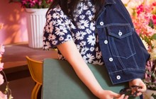 陈韵妃与陈韵妃文学