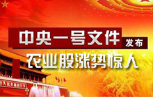 一号文件来了，大农业股闻风起舞，涨势惊人 