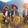 “浦城大米”品牌发布会在福州举行