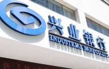 三家闽企入围2019中国最有价值100品牌