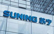 2019年福建省普通高校招生各类录取控制分数线公布；福建10家企业上榜工信部首批专精特新“小巨人”企业名单；苏宁“闪婚”家乐福中国
