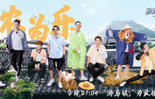 失速的综N代