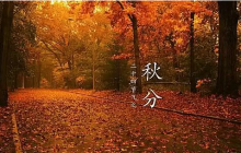 秋分风物：它为何曾是传统的“祭月节”？