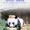 央行未发行数字货币；全球市值最大企业诞生；厦门口岸营商环境获全国第一