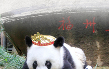 央行未发行数字货币；全球市值最大企业诞生；厦门口岸营商环境获全国第一