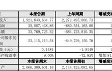 浔兴股份2019年盈利5312万元 较上年同期扭亏为盈