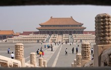 国内公募REITs试点启动；星宇控股股价闪崩