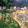福建最富有的城市泉州！喜获九连冠