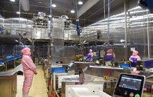 ​实施农业养殖4.0体系 圣农集团实现管理智能化、生产自动化