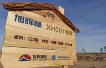 旭辉荣膺福布斯2021中国慈善榜第38位，排名连续三年提升