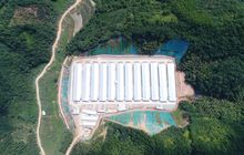 圣农集团投资2.5亿元在政和县新建肉鸡场