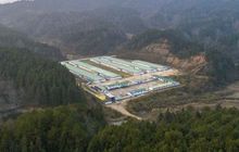 第一批国家级动物疫病净化场名单出炉 圣农榜上有名