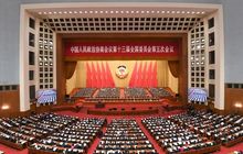 “两会”进行时，王晶、林龙安、兰平勇等闽籍企业家们都在关注什么？