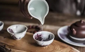 以茶会友，鲤鱼洲里话健康