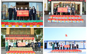 万斤枇杷助抗疫 一举善行解农愁