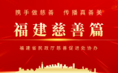 立善为业 倾情奉献——记漳平市慈善总会会长林亮