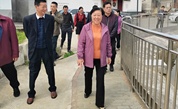 龙岩市慈善总会考察漳平市村社互助项目及长者食堂