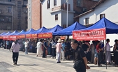 汇聚向善力量 共绘慈善民生新图景 ——宁德市蕉城区举办第十个“中华慈善日”主题公益活动