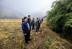 慈善巡礼丨渠岸筑暖 善润乡野——闽北山村的慈善纾困记