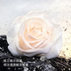 Dior迪奥花秘瑰萃修护滋养精华露 弹润修护_1