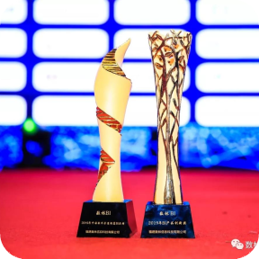 2019中国好软件风云盛典：数林BI荣获产品创新、渠道推荐双项大奖！