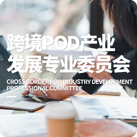 跨境POD产业发展专业委员会