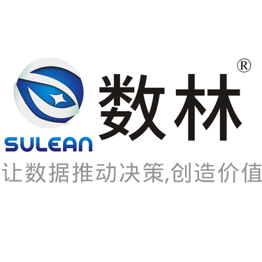 数林商业智能系统（BI数据分析、合并报表、合并账务、经营看板等）