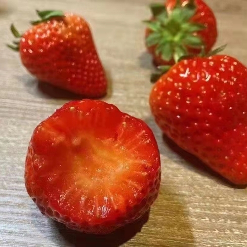 微信图片_